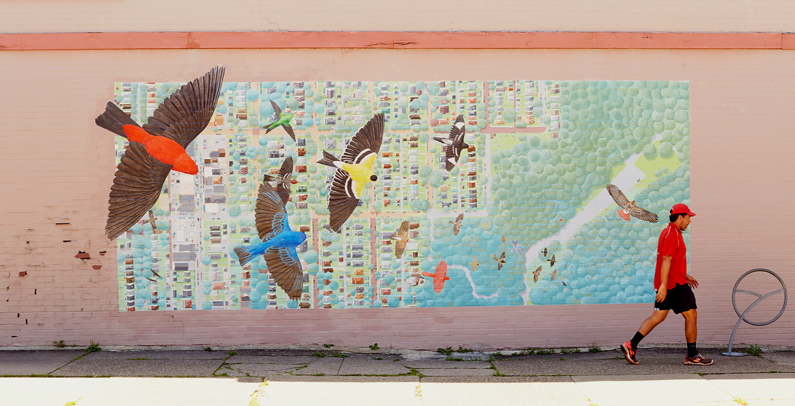 A man walking in front of a mural of birds.