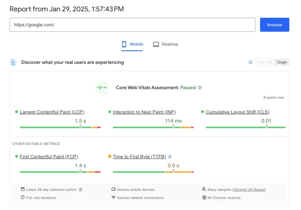 Results from Google's PageSpeed Insights Test